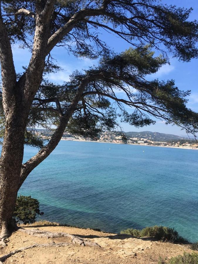 Les Galets De Sanary - Vue Mer Dış mekan fotoğraf