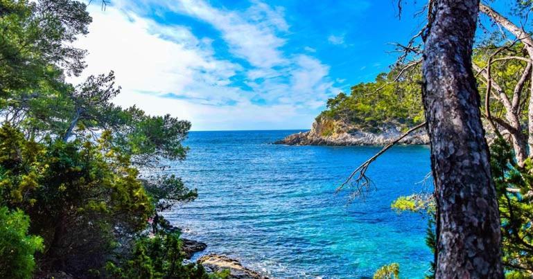Les Galets De Sanary - Vue Mer Dış mekan fotoğraf